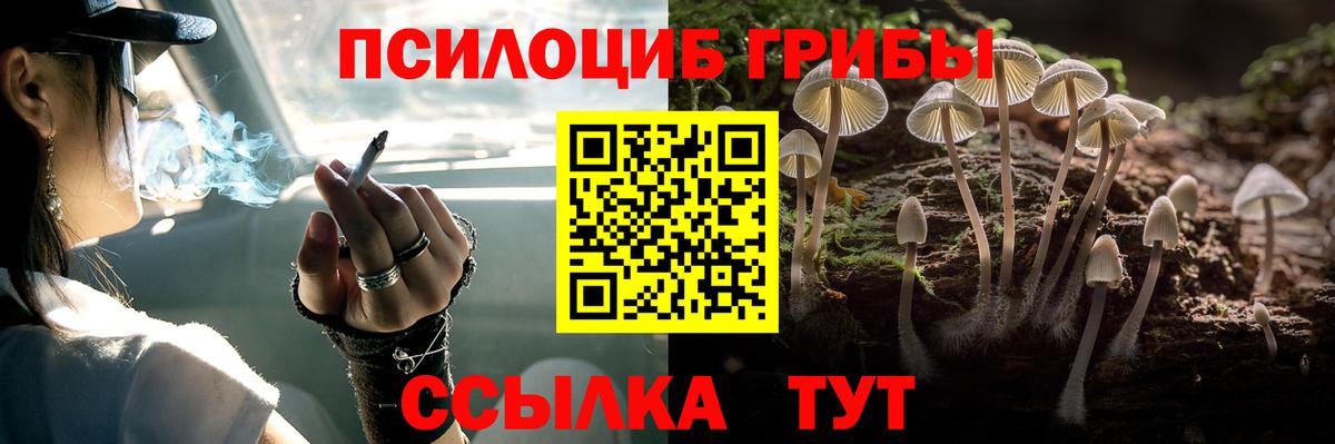 продажа наркотиков  Вход с VPN  Лесосибирск  Псилоцибиновые грибы MAGIC MUSHROOMS 